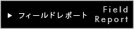 �t�B�[���h���|�[�g