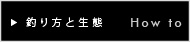�ނ���Ɛ���