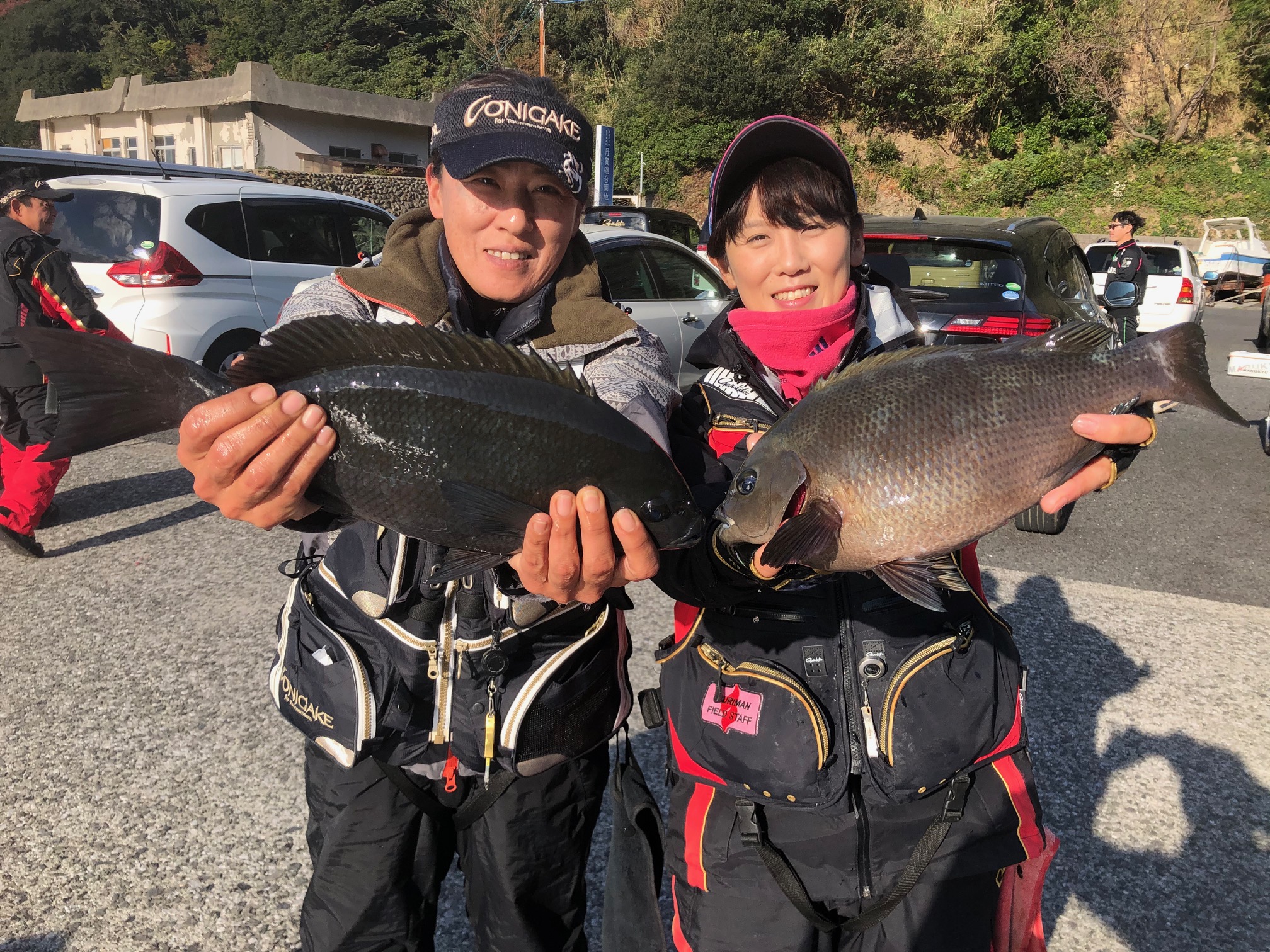釣果情報 Tsuriken 釣果情報 Tsuriken