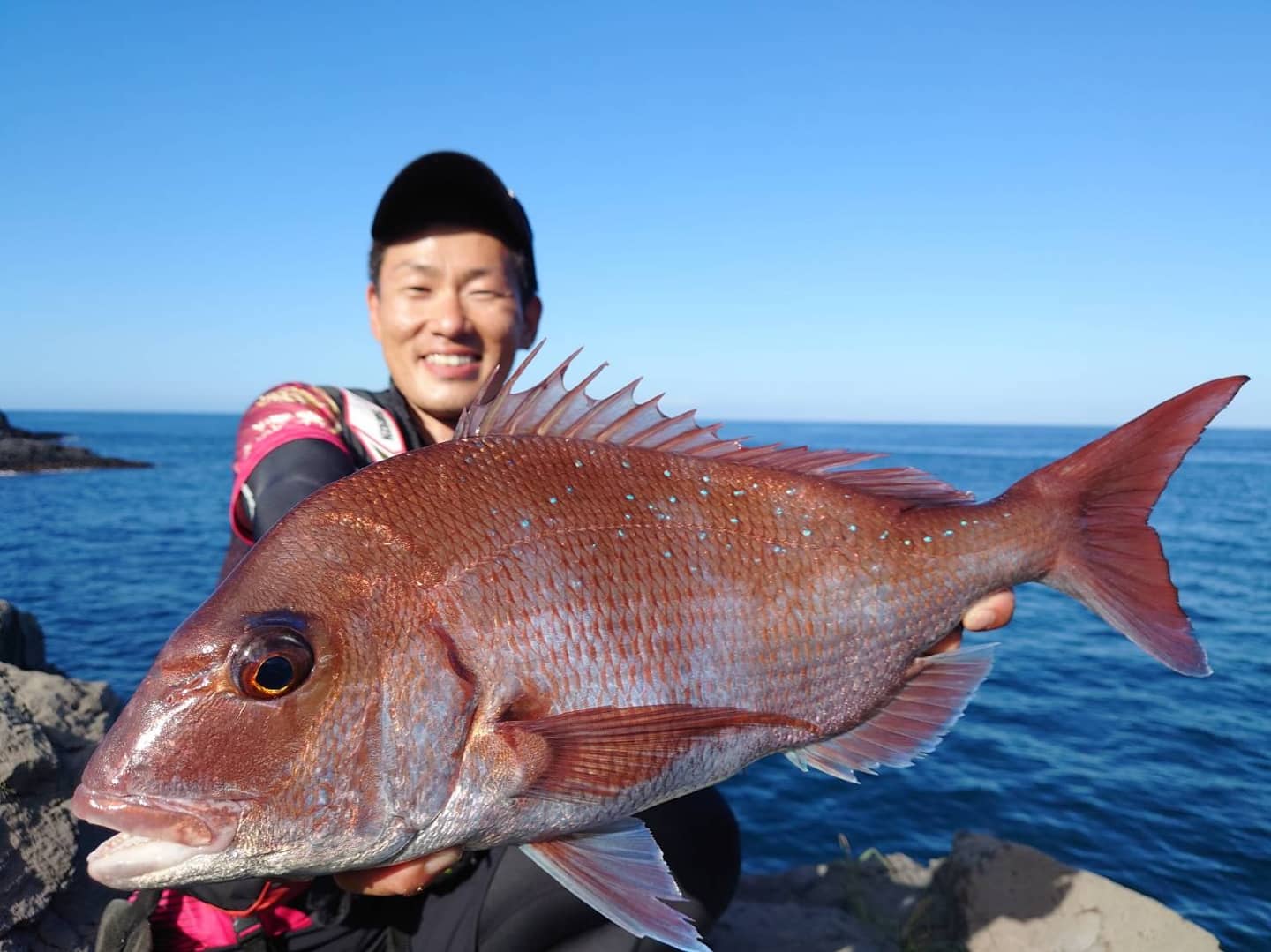 釣果情報 Tsuriken